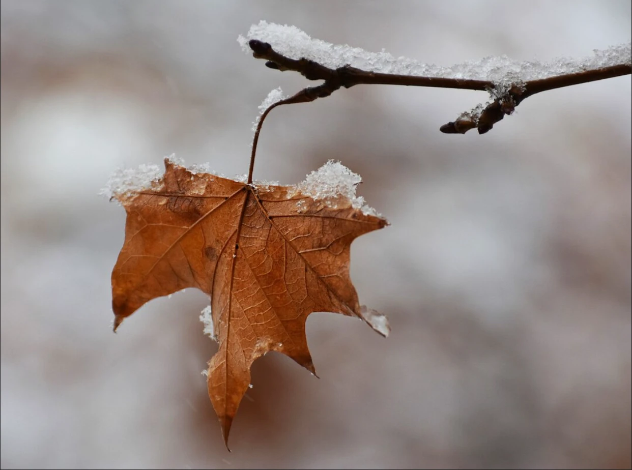 Prognoza meteo, 5 octombrie. Weekendul se încheie cu temperaturi neobișnuit de scăzute